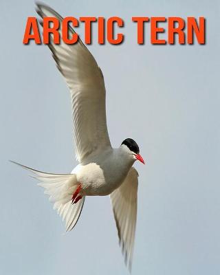 Book cover for Arctic Tern