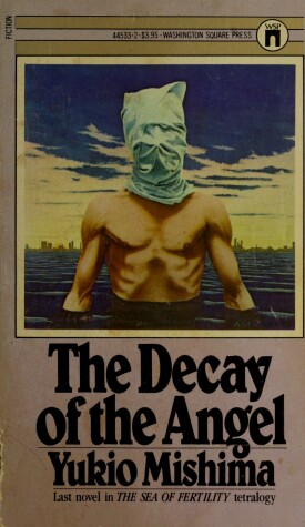 Book cover for Decay of Angel