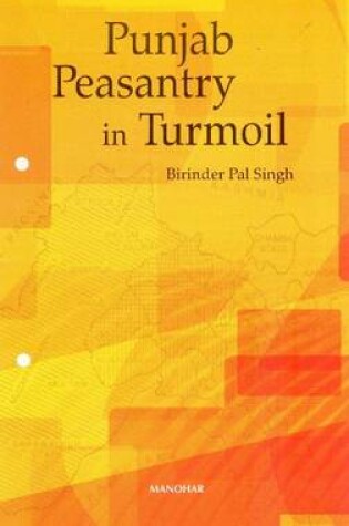 Cover of Punjab Peasantry in Turmoil