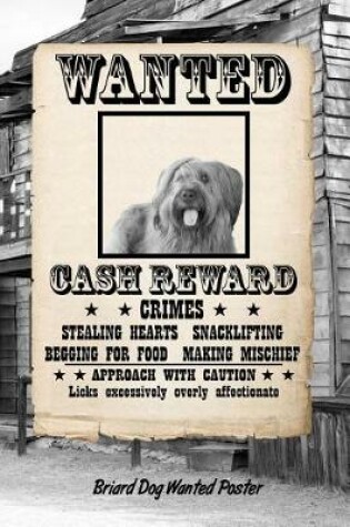 Cover of Briard Dog Wanted Poster