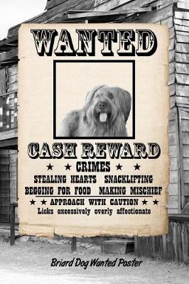 Book cover for Briard Dog Wanted Poster