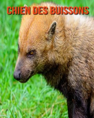 Book cover for Chien des Buissons