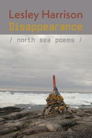 Cover of Disappearance