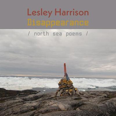 Book cover for Disappearance