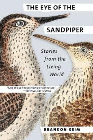 Cover of The Eye of the Sandpiper