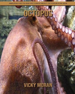 Book cover for Octopus