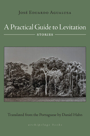 Cover of A Practical Guide to Levitation