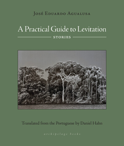 Book cover for A Practical Guide to Levitation