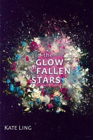 Cover of The Glow of Fallen Stars