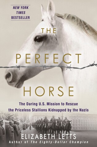 Cover of The Perfect Horse