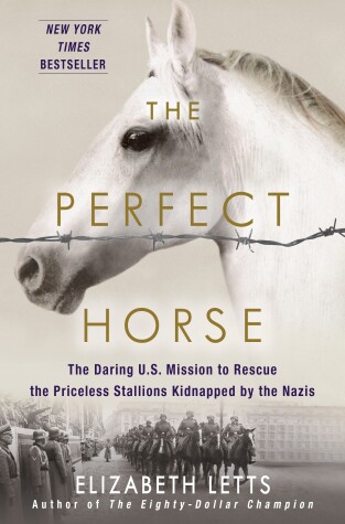 Book cover for The Perfect Horse