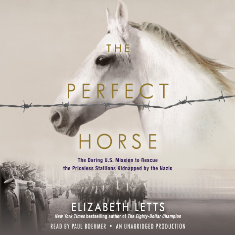 Book cover for The Perfect Horse