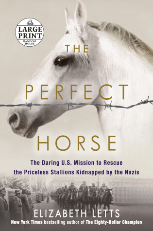 Book cover for The Perfect Horse