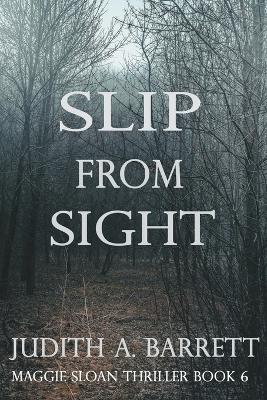 Book cover for Slip from Sight