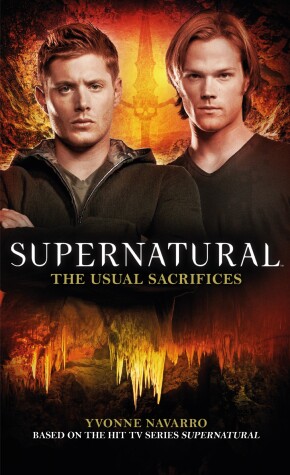 Book cover for The Usual Sacrifices