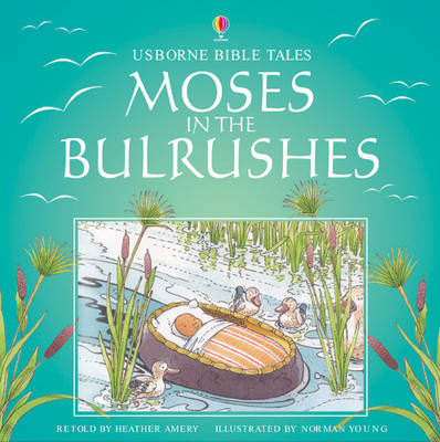 Book cover for Moses and the Bulrushes