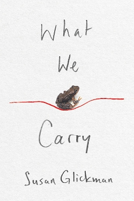 Book cover for What We Carry
