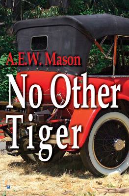 Book cover for No other Tiger