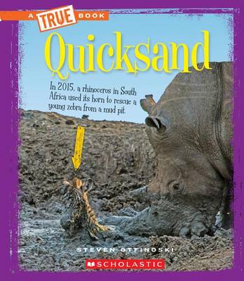 Cover of Quicksand