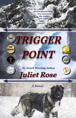 Book cover for Trigger Point