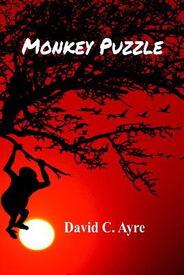 Book cover for Monkey Puzzle