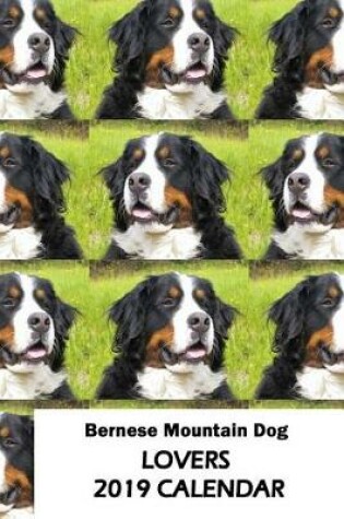 Cover of Bernese Mountain Dog Lovers 2019 Calendar