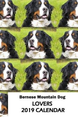 Book cover for Bernese Mountain Dog Lovers 2019 Calendar