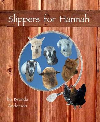 Book cover for Slippers for Hannah