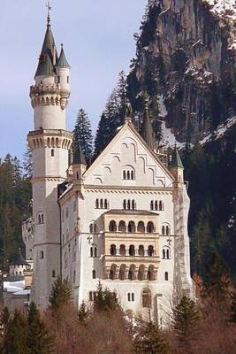 Book cover for The Beautiful Neuschwanstein Castle in Bavaria, Germany