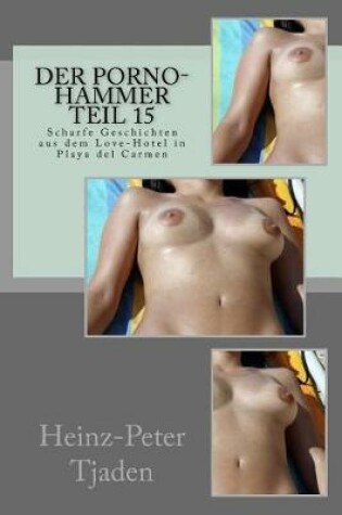 Cover of Der Porno-Hammer Teil 15