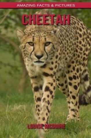 Cover of Cheetah