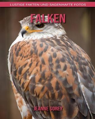 Book cover for Falken