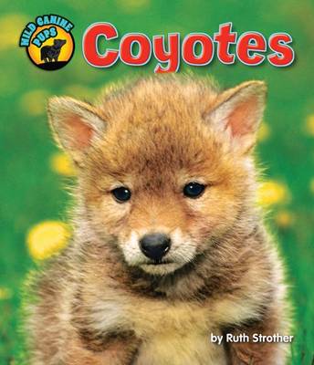 Book cover for Coyotes