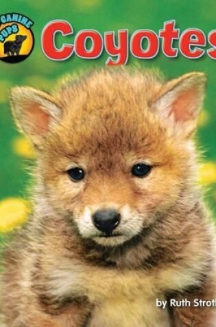 Cover of Coyotes