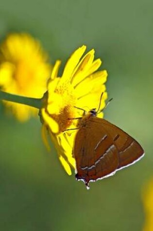 Cover of Hairstreak Butterfly, for the Love of Nature