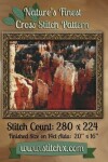 Book cover for Nature's Finest Cross Stitch Pattern