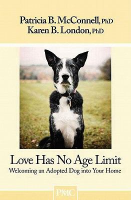 Book cover for Love Has No Age Limit