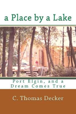 Book cover for A Place by a Lake