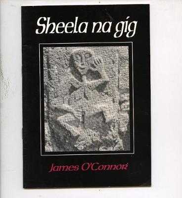 Book cover for Sheela Na Gig