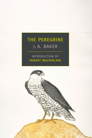 Cover of The Peregrine