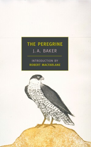 Book cover for The Peregrine