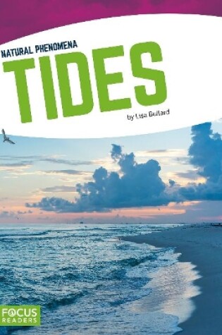 Cover of Natural Phenomena: Tides