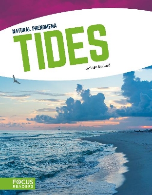 Book cover for Natural Phenomena: Tides