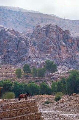 Cover of Charming View of Petra Jordan and a Horse Travel Journal