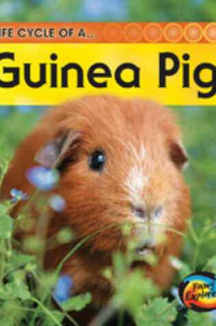 Cover of Life Cycle of a Guinea Pig