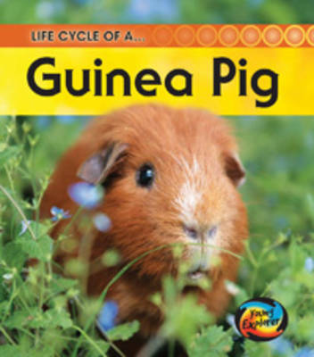 Cover of Life Cycle of a Guinea Pig