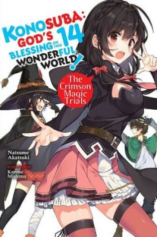 Cover of Konosuba: God's Blessing on This Wonderful World!, Vol. 14 light novel