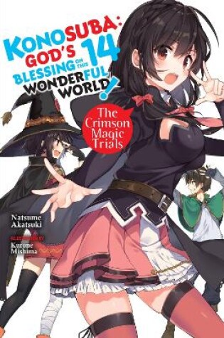 Cover of Konosuba: God's Blessing on This Wonderful World!, Vol. 14 (light novel)