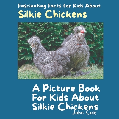 Cover of A Picture Book for Kids About Silkie Chickens