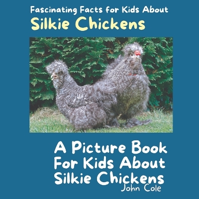 Book cover for A Picture Book for Kids About Silkie Chickens